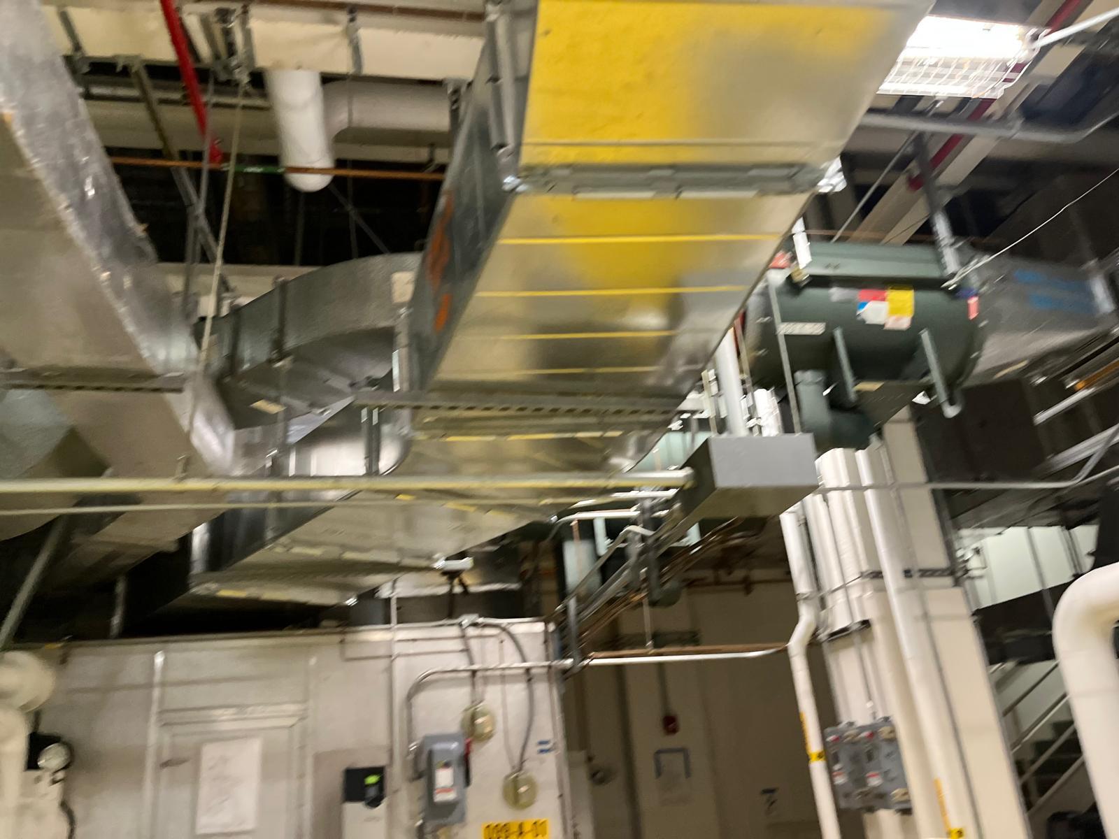 Overhead ductwork and insulated pipe above a ceiling