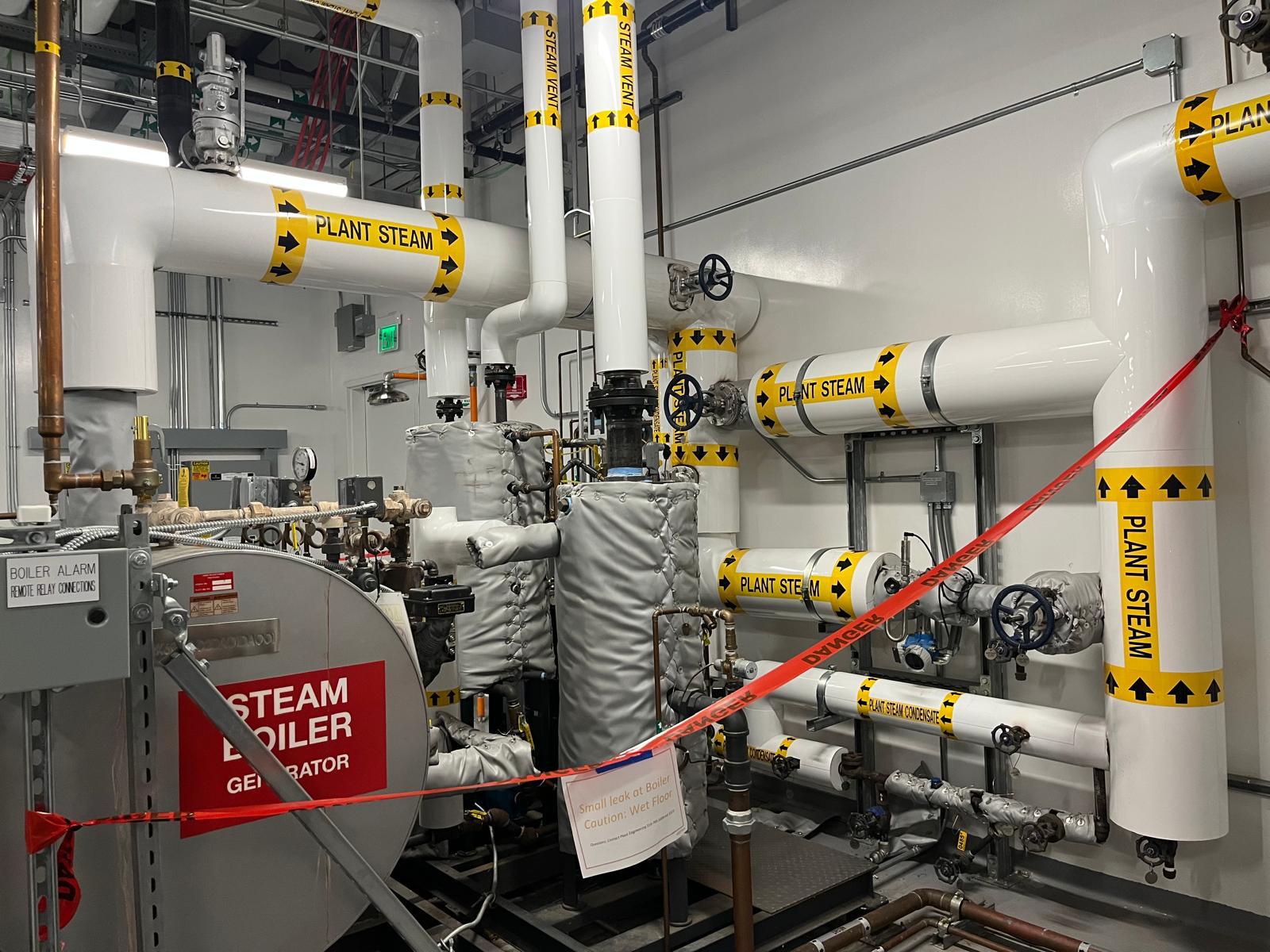 Plant steam piping and boiler